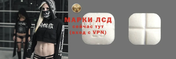 apvp Алзамай